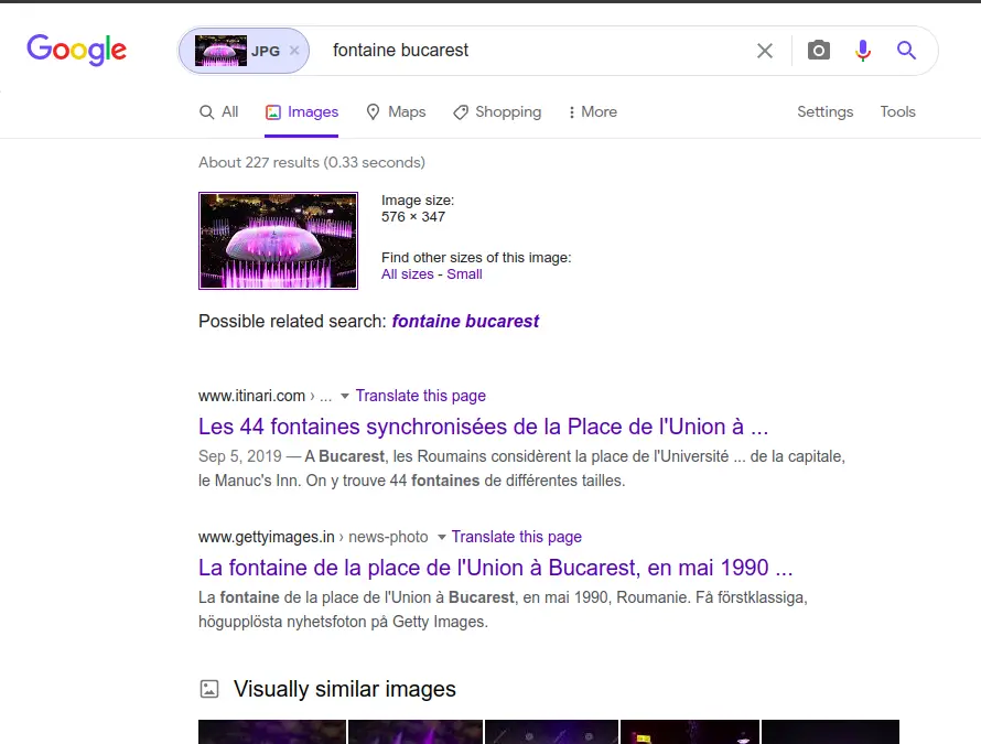 Reverse Image search results