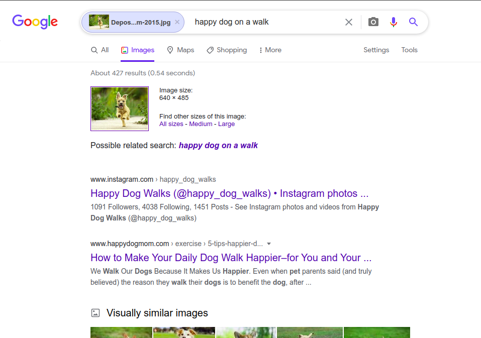 Reverse Image search