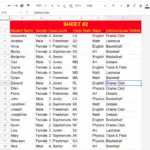 How to Open a Sheet on a specific tab?