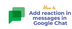 Add reaction in messages in Google Chat