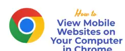 View Mobile Websites on Your Computer in Chrome