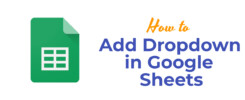 How to Add Dropdown in Google Sheets