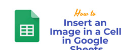 Insert an Image in a Cell in Google Sheets